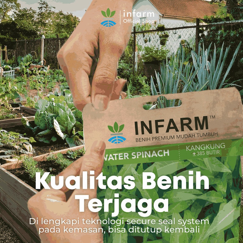 INFARM™ Benih Unggul Kangkung F1 4