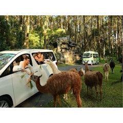 Taman Safari Prigen