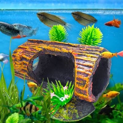 Hiasan Aquarium Pokol Kayu Bolong