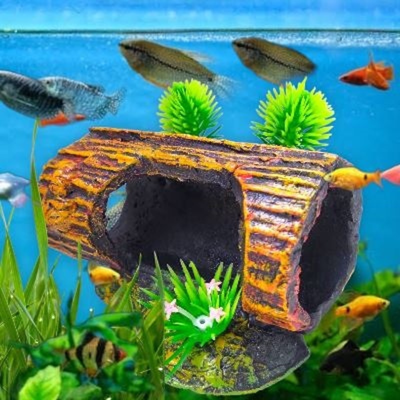 Hiasan Aquarium Pokol Kayu Bolong 2