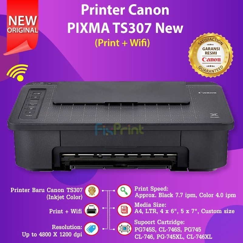 PIXMA TS307 3