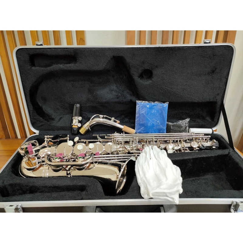 Saxophone Alto Full Set 4