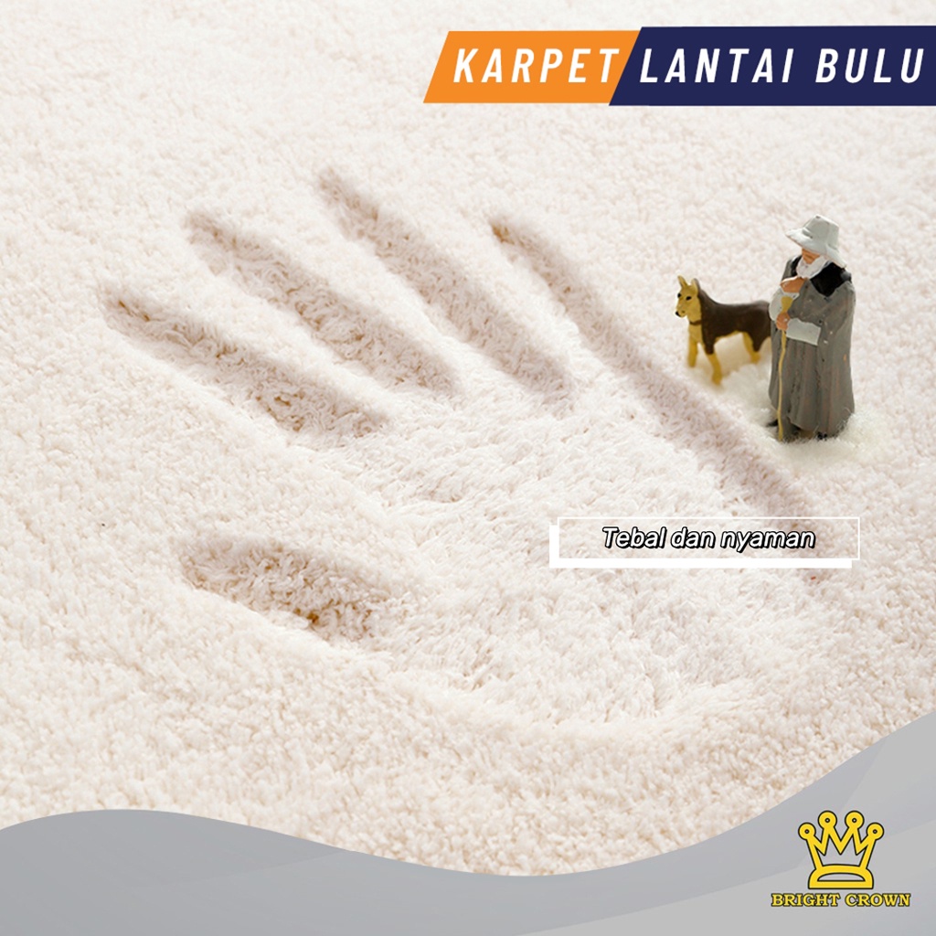 Bright Crown Karpet Lantai Bulu