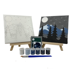 Paint by Number Kit Night View