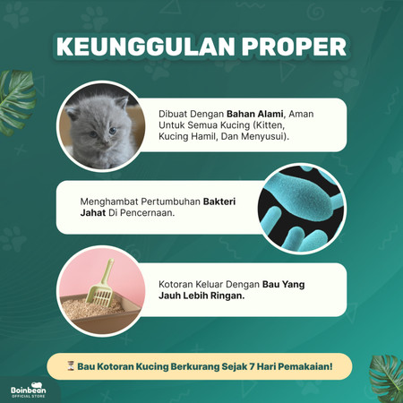 Boinbean Proper 4