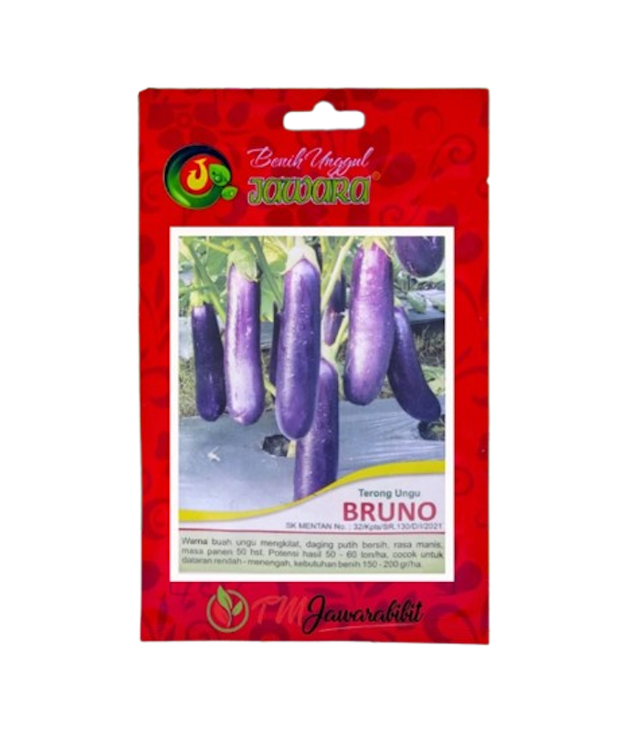 JAWARA Terong Ungu BRUNO