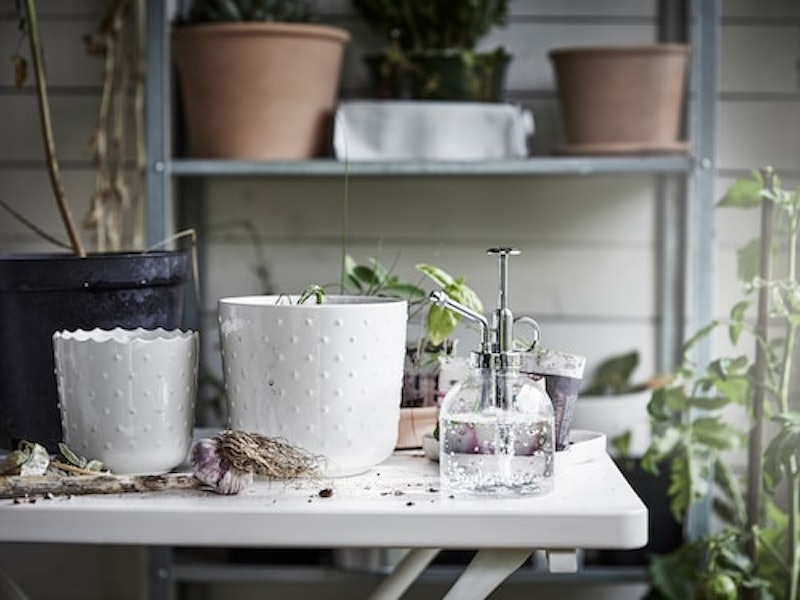 SESAMFRÖN Plant Mister 2