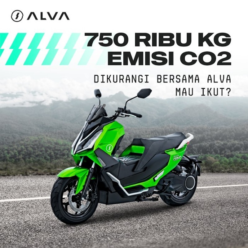 ALVA CERVO 3