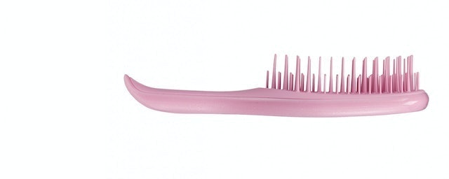 The Wet Detangler Mini Size