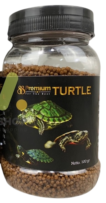 Turtle Food 1
