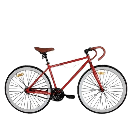 Evergreen Sepeda Fixie 700C