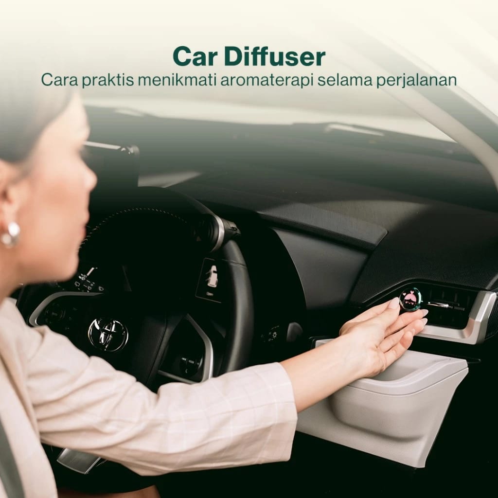  CAPSEN Magnet Car Diffuser