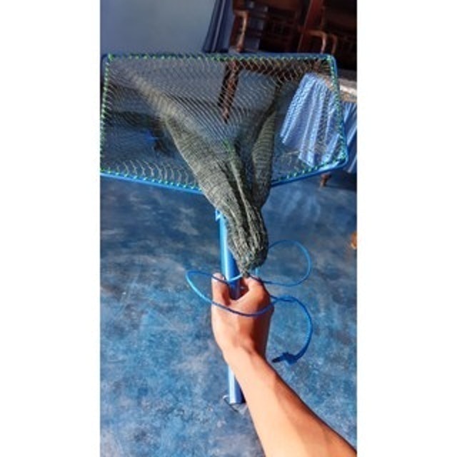 Serokan Brojol Ikan Besar