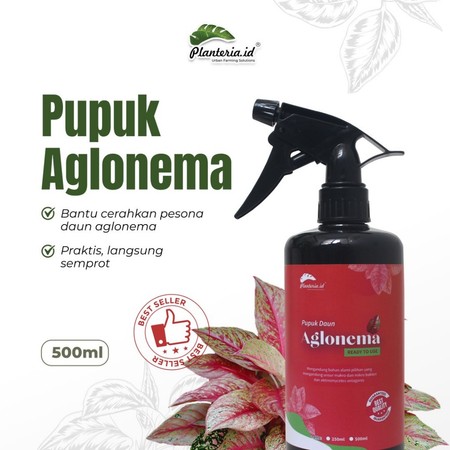 Planteria Planteria Pupuk Daun Aglonema 