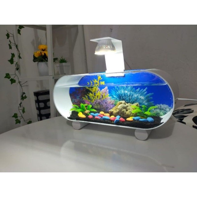 Akuarium Mini PVC/Akrilik 2