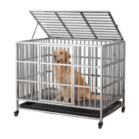 10 Rekomendasi Kandang Anjing Terbaik (Terbaru Tahun 2026) 3