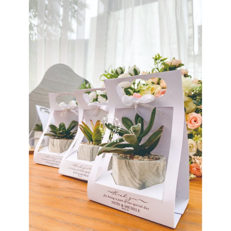 Souvenir Kaktus & Sukulen Hias Mini Paperbag Dara D-5 cm 3