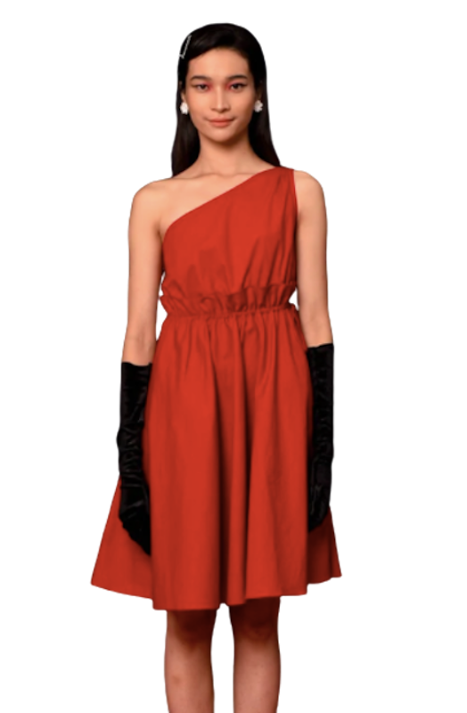 Lavinia Cotton Mini Dress 2