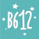 SNOW Corporation B612 AI Photo & Video Editor 1
