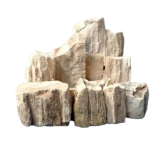 Batu Fosil Kayu