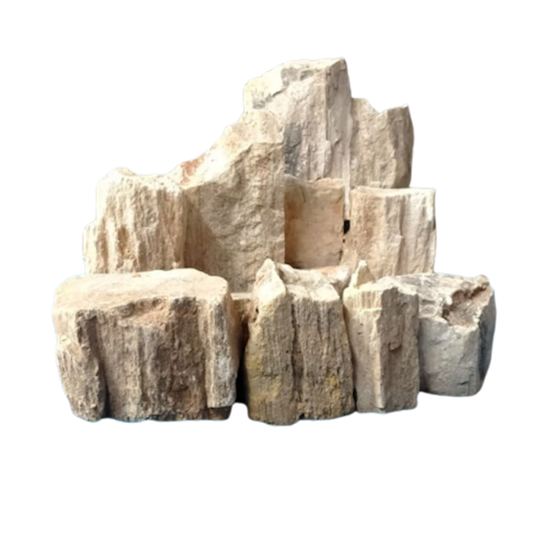 Batu Fosil Kayu 1