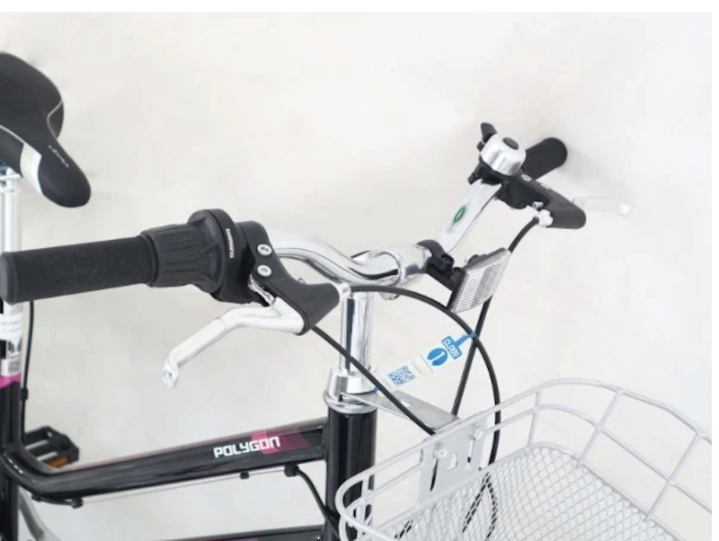 Polygon Lovina 26 Inch 3