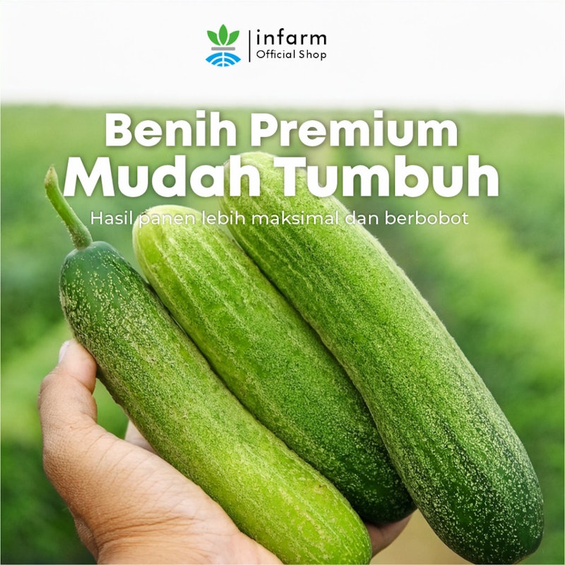 INFARM Benih Mentimum Mid Cuke 3