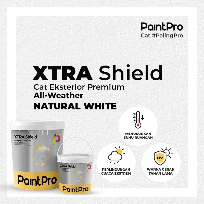PaintPro XTRA Shield 5