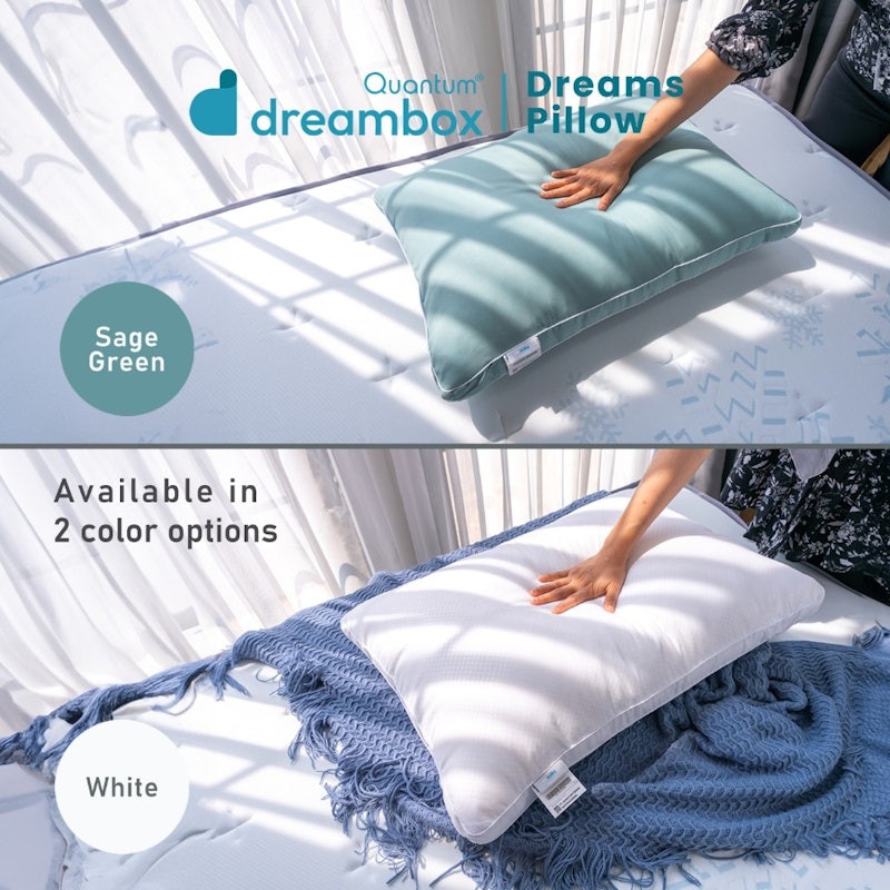 Dreambox Dreams Pillow 2