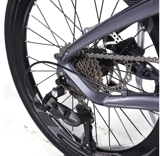 Avand Chester IX 20"