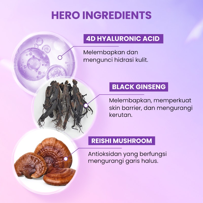 Hyalu B5 + Reishi Mushroom & Bifida Serum 3