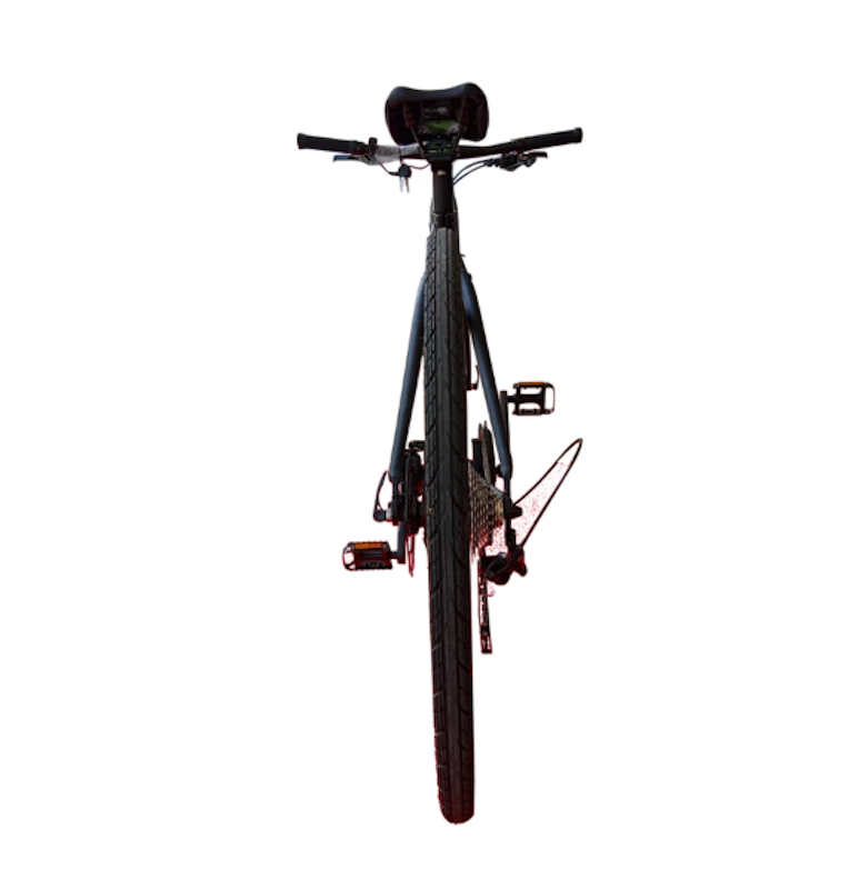 Selis Tornado E-Bike 3