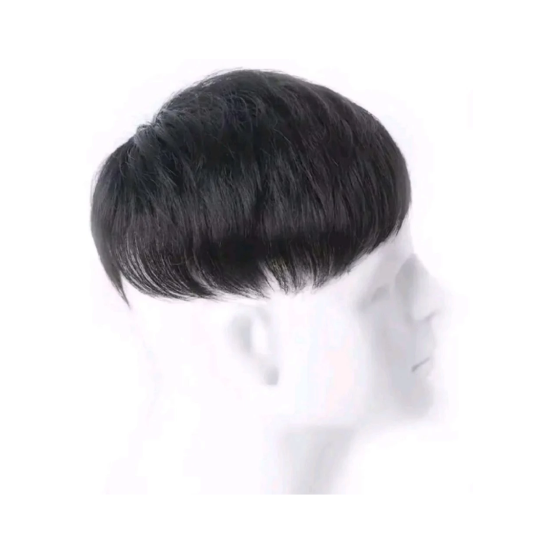 Toupee Hairclip Pria Korea 1