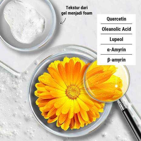 Kiehl's Calendula Deep Cleansing Foaming Face Wash
