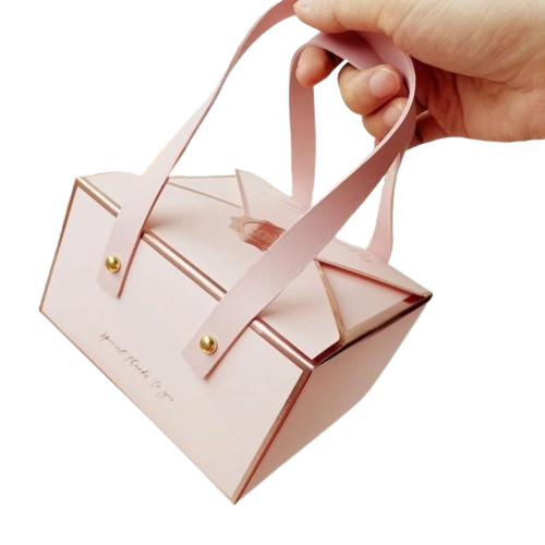 Exclusive cake box with handle  1