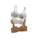 Finest Care Global Misswiss Seamless Push Up Bra 1