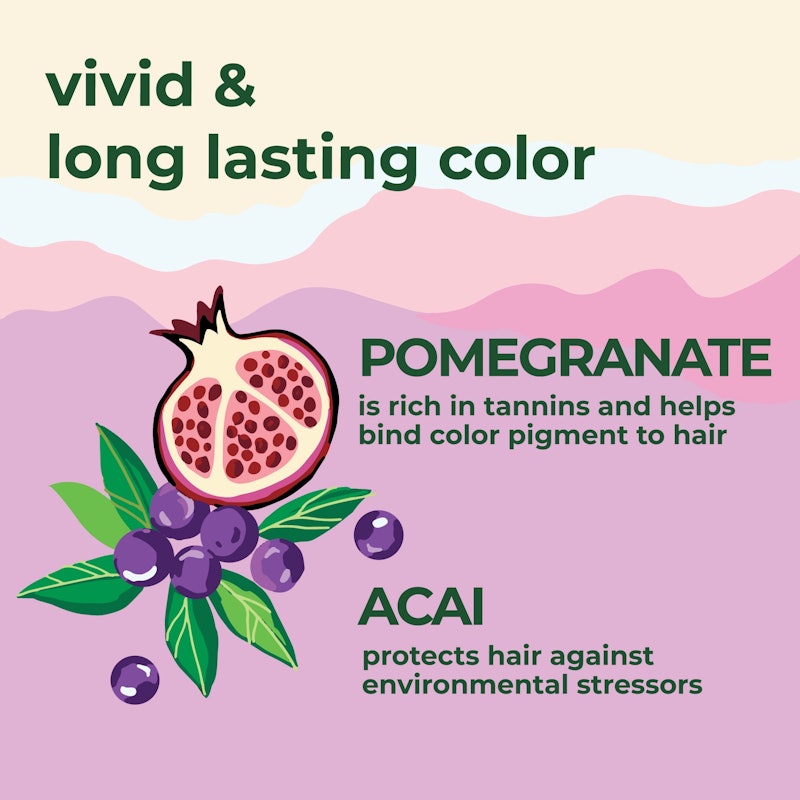 Petal Fresh Pure Color Protection Shampoo with Pomegranate and Açaí 2