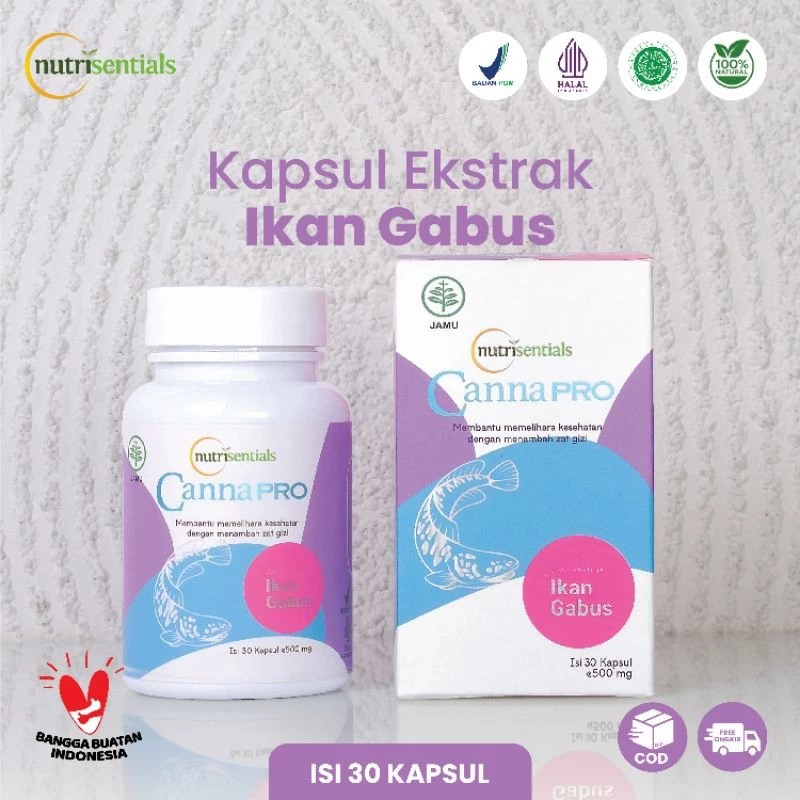 Nutrisentials Nutrisentials Cannapro (dari Ekstrak Ikan Gabus)