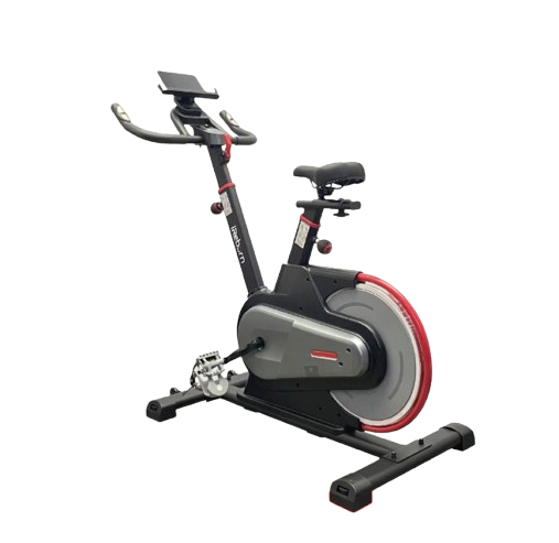 iReborn iPedro Spin Bike 