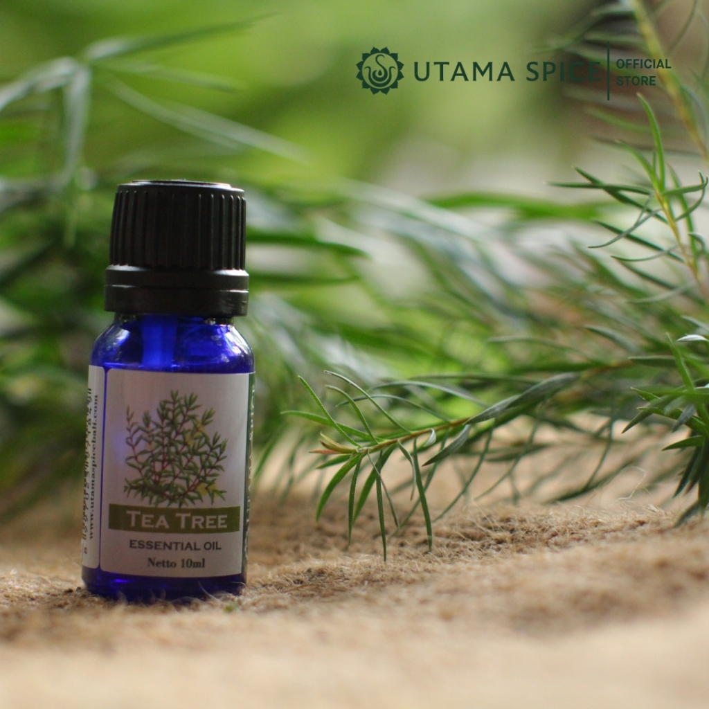 Utama Spice Tea Tree Essential Oil