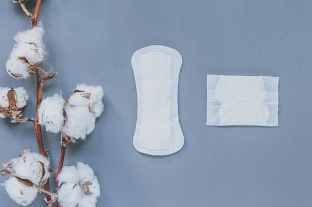 Bodywise Natracare Normal Panty Liners