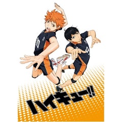 Haikyu!!