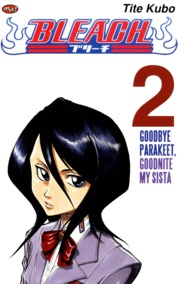 Bleach 4