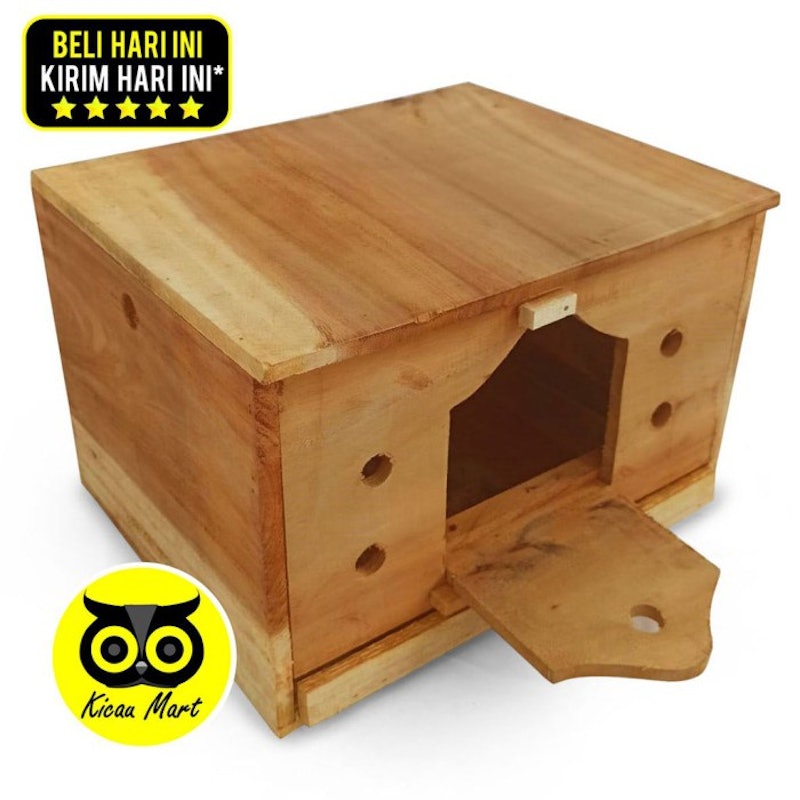 Gupon Merpati Model Slorok