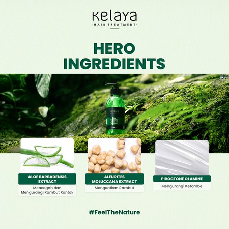 Sekawan Kosmetik Wasantara Kelaya Hair Treatment Shampoo