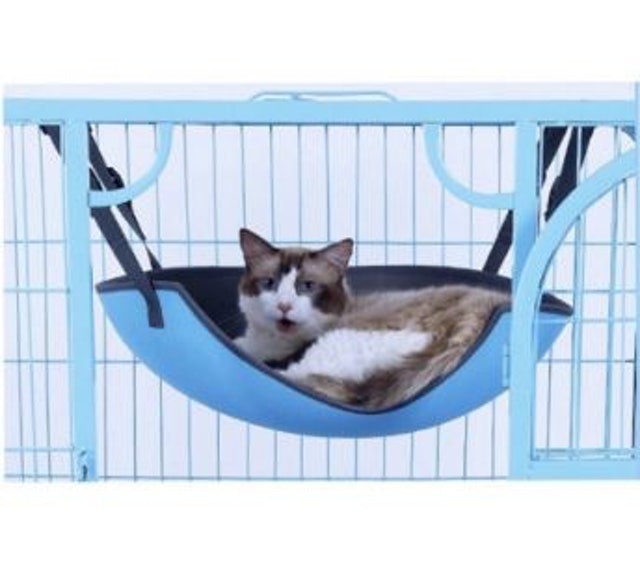  Cat Hammock C38