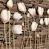Wallpaper Bunga Tulip 3D Motif Batu Alam 1