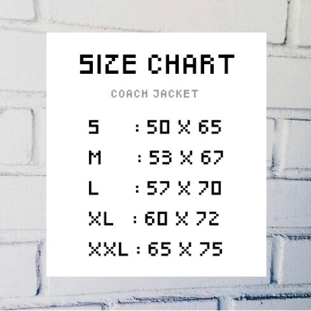 THESILVERSKY Coach Jacket – Tiger