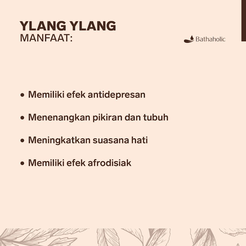 Ylang Ylang Essential Oil 4