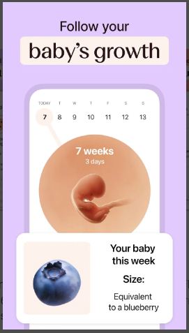 Flo Period & Pregnancy Tracker 3